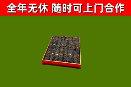 罗江回收海参